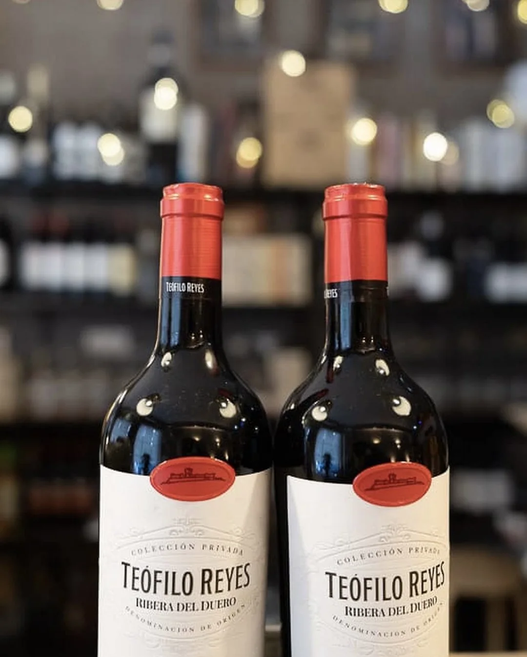 Dos botellas de vino tinto fotografiadas frente a la barra.
